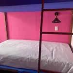 Gorilla\'S Guest House