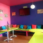 Gorilla\'S Guest House