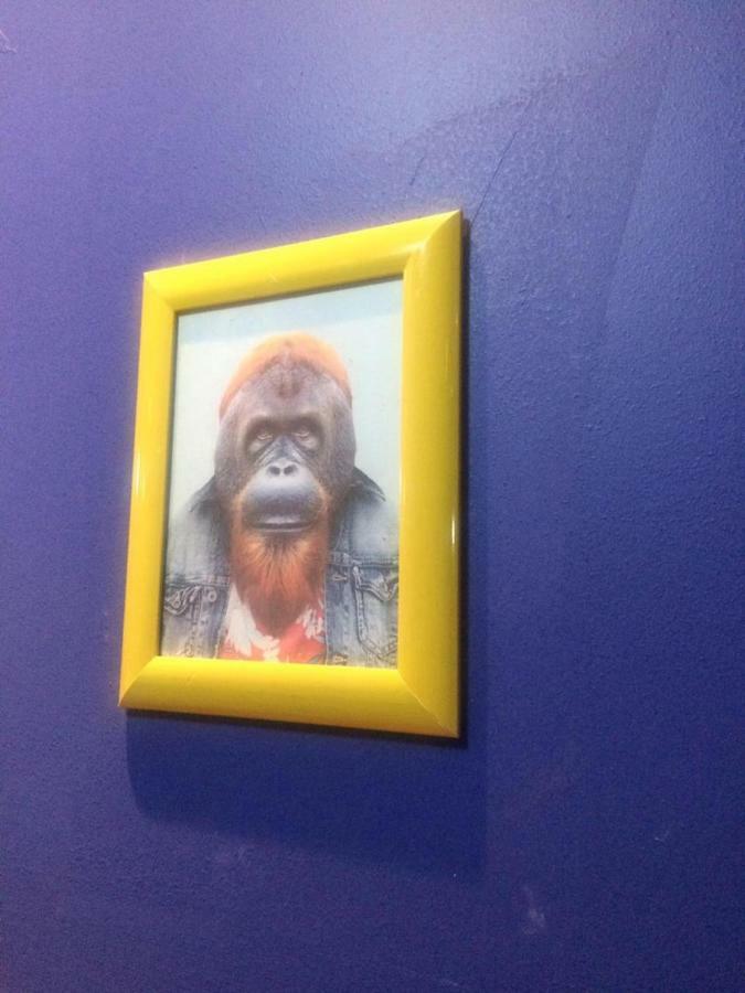 Hostel Gorilla's *