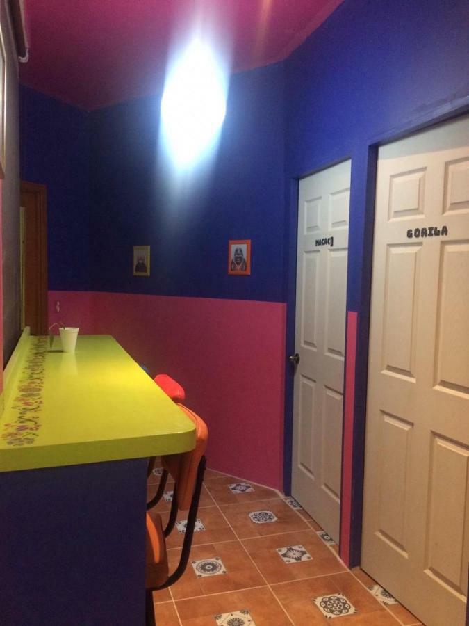 Gorilla's Hostel