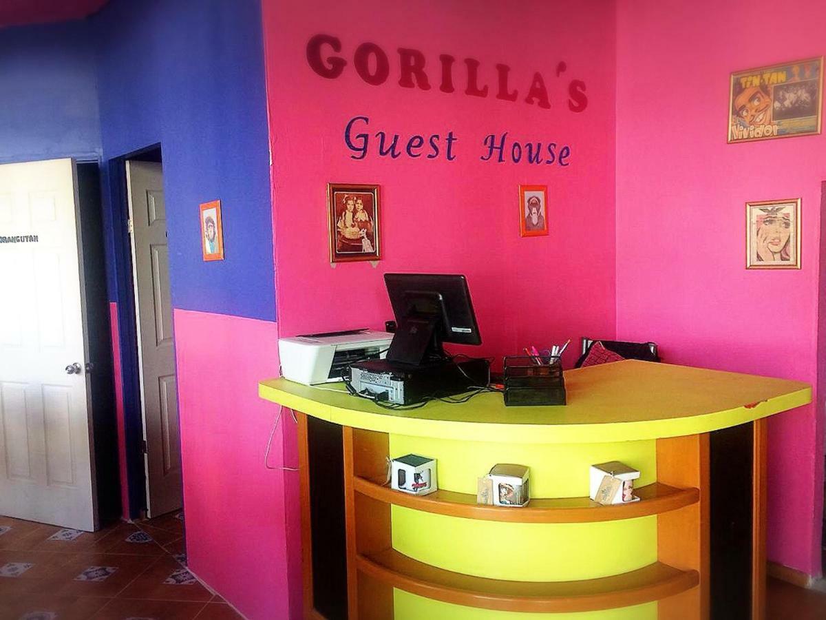Hostel Gorilla's *