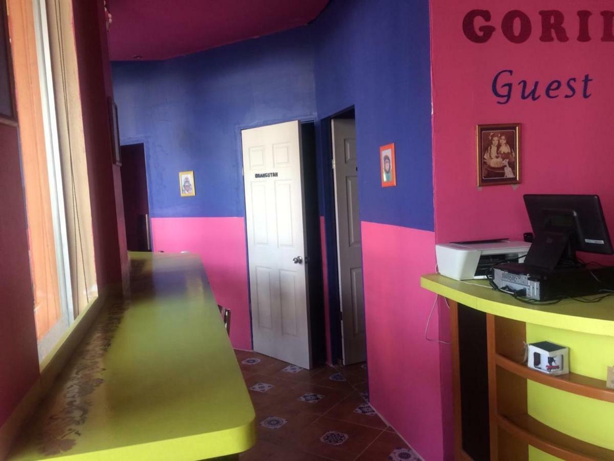 Hostel Gorilla's Puebla